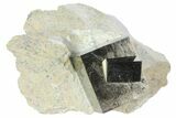 Large, Natural Pyrite Cube Cluster In Rock - Navajun, Spain #94335-1